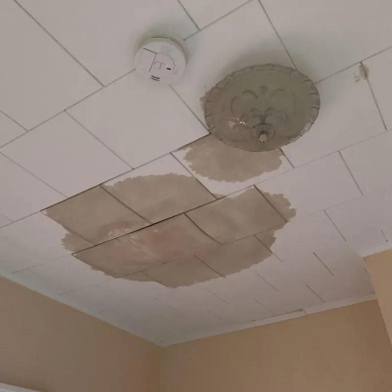 Ceiling Water Damage Repair in Burlington County, NJ