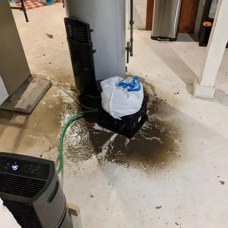 Sewage Backup Cleanup Service in Burlington County, NJ